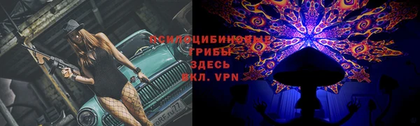 кокс Медвежьегорск