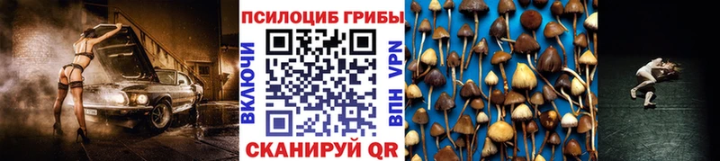 OMG ссылки Тбилисская Галлюциногенные грибы GOLDEN TEACHER